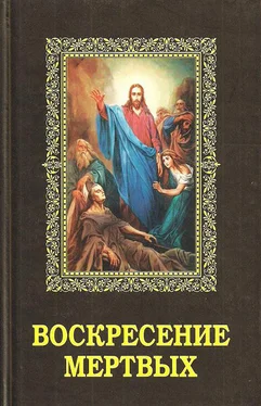 Алексей Фомин Воскресение мертвых обложка книги