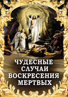 Алексей Фомин Чудесные случаи воскресения мертвых обложка книги