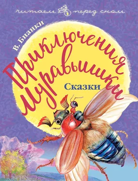 Виталий Бианки Приключения Муравьишки (сборник) обложка книги