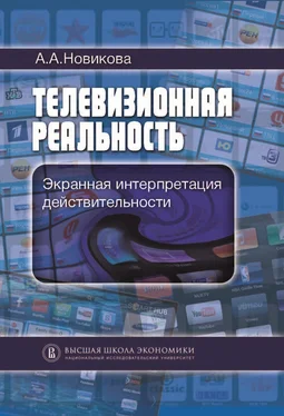 Анна Новикова Телевизионная реальность. Экранная интерпретация действительности обложка книги