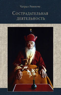 Чатрал Ринпоче Сострадательная деятельность обложка книги