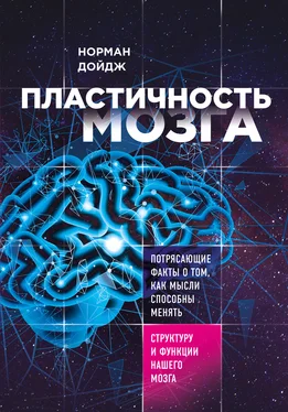 Норман Дойдж Пластичность мозга. Потрясающие факты о том, как мысли способны менять структуру и функции нашего мозга обложка книги