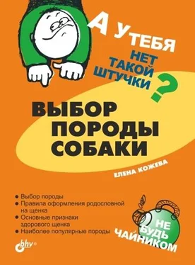 Елена Кожева Выбор породы собаки обложка книги