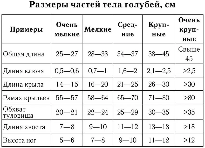 Также необходимо знать общее строение голубя Строение тела и биологические - фото 1