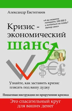 Александр Евстегнеев Кризис: экономический шанс обложка книги