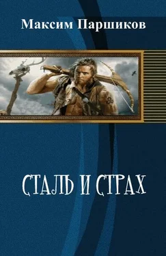 Максим Паршиков Сталь и Страх (СИ) обложка книги