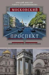 Тамара Крашенинникова - Московский проспект. Очерки истории