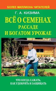 Галина Кизима Все о семенах, рассаде и богатом урожае обложка книги