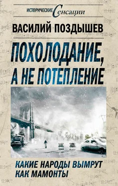 Василий Поздышев Похолодание, а не потепление. Какие народы вымрут как мамонты обложка книги