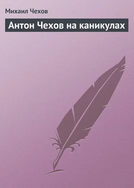 Михаил Чехов Антон Чехов на каникулах обложка книги