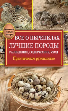 Александр Снегов Все о перепелах. Лучшие породы. Разведение, содержание, уход. Практическое руководство обложка книги