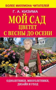 Галина Кизима Мой сад цветет с весны до осени обложка книги