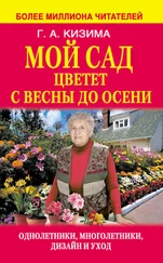 Галина Кизима - Мой сад цветет с весны до осени