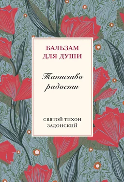 cвятитель Тихон Задонский Таинство радости обложка книги