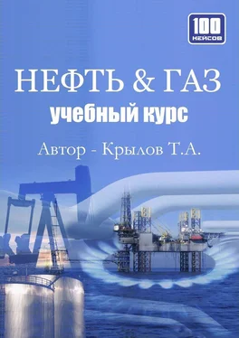 Тимофей Крылов Нефть & Газ. Учебный курс обложка книги