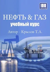 Тимофей Крылов - Нефть &amp; Газ. Учебный курс