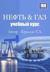 Тимофей Крылов - Нефть & Газ. Учебный курс