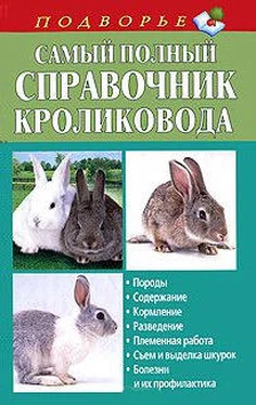 Александр Снегов Самый полный справочник кроликовода обложка книги