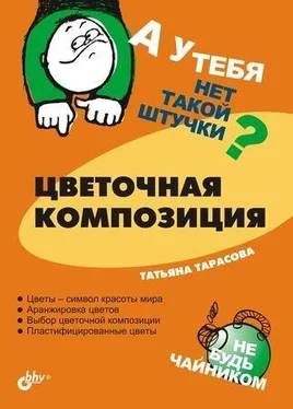 Татьяна Тарасова Цветочная композиция обложка книги