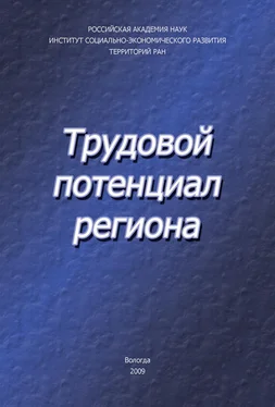 Елена Чекмарева Трудовой потенциал региона обложка книги