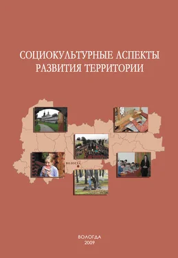 Татьяна Соловьева Социокультурные аспекты развития территории обложка книги