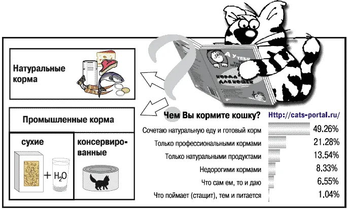 Вокруг да около штучек Некоторые особенности кошек Кошки как и их близкие - фото 1