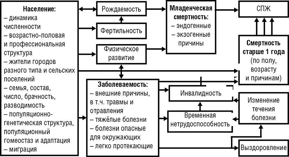 Рис 11 Взаимосвязь медикодемографических процессов Примечание СПЖ - фото 2