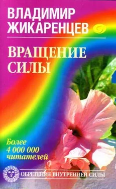 Владимир Жикаренцев Вращение Силы обложка книги