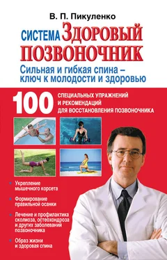 Владимир Пикуленко Система «Здоровый позвоночник» обложка книги