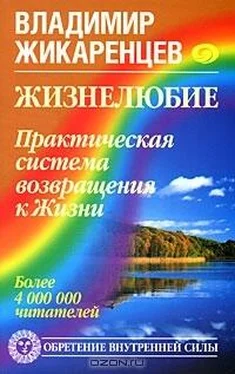 Владимир Жикаренцев Жизнелюбие. Практическая система возвращения к Жизни обложка книги