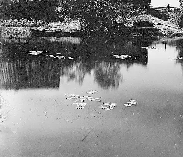 Кувшинки на Ладожском канале Фотография СМ ПрокудинаГорского 1909 г Один - фото 10
