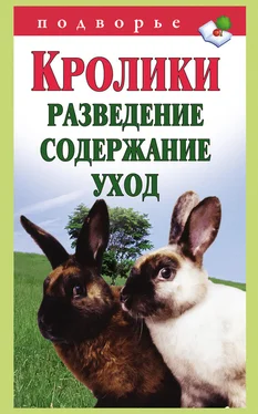 Виктор Горбунов Кролики: разведение, содержание, уход