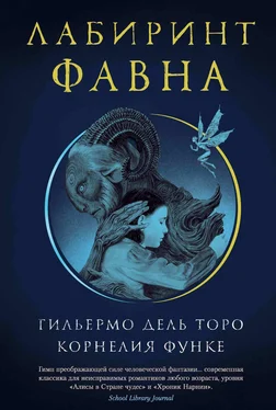 Корнелия Функе Лабиринт Фавна обложка книги