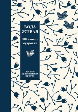 Александр Логунов Вода живая: 300 капель мудрости. Сборник лучших христианских притч обложка книги