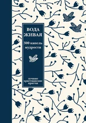 Александр Логунов - Вода живая - 300 капель мудрости. Сборник лучших христианских притч