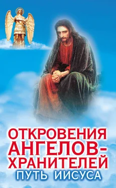 Ренат Гарифзянов Откровения ангелов-хранителей. Путь Иисуса обложка книги