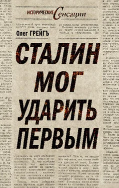 Ольга Грейгъ Сталин мог ударить первым обложка книги
