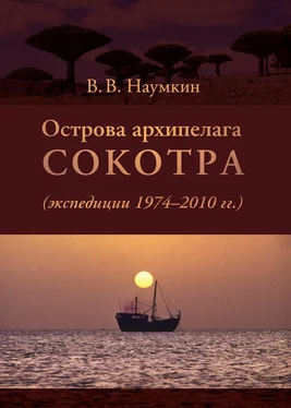 Виталий Наумкин Острова архипелага Сокотра (экспедиции 1974-2010 гг.) обложка книги