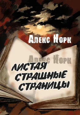 Алекс Норк Листая страшные страницы обложка книги