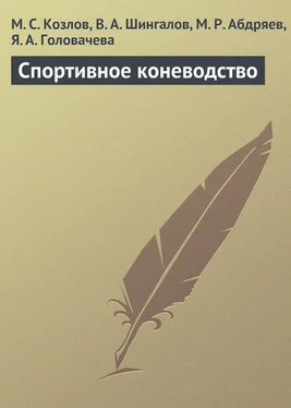 Максим Козлов Спортивное коневодство обложка книги