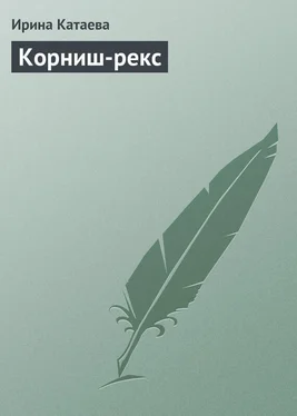 Ирина Катаева Корниш-рекс обложка книги