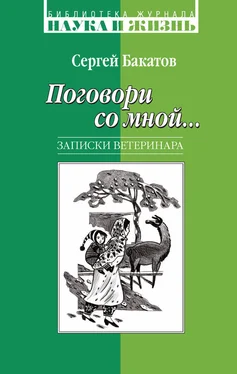 Сергей Бакатов Поговори со мной… Записки ветеринара обложка книги