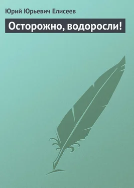 Юрий Елисеев Осторожно, водоросли! обложка книги