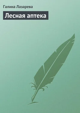 Галина Лазарева Лесная аптека обложка книги