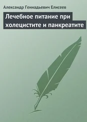 Александр Елисеев - Лечебное питание при холецистите и панкреатите