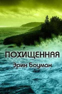 Эрин Боуман Похищенная обложка книги