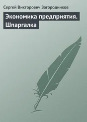 Сергей Загородников - Экономика предприятия. Шпаргалка