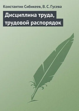 Константин Сибикеев Дисциплина труда, трудовой распорядок обложка книги