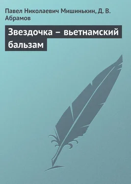 Дмитрий Абрамов Звездочка – вьетнамский бальзам обложка книги