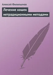 Алексей Филипьечев - Лечение кошек нетрадиционными методами